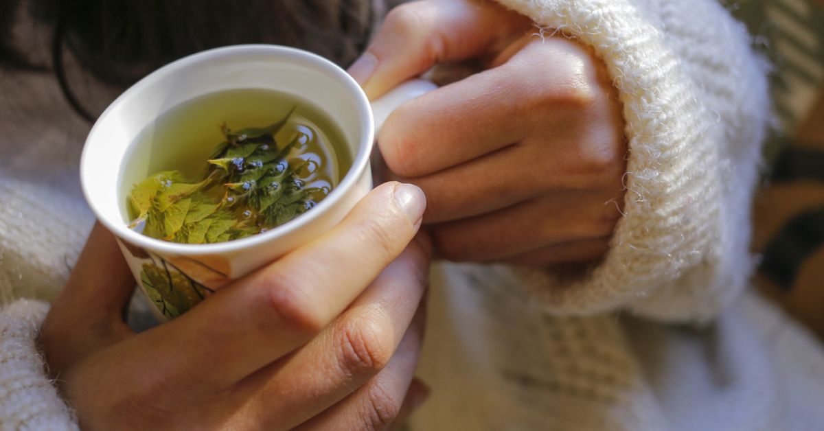 Les meilleures tisanes naturelles contre le froid : les choisir et les préparer