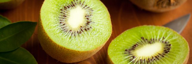 Secrets de jardiniers : découvrez l’astuce zéro déchet qui enrichit gratuitement tous les jardins