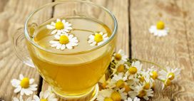 Les bienfaits de la camomille Les bienfaits de la camomille