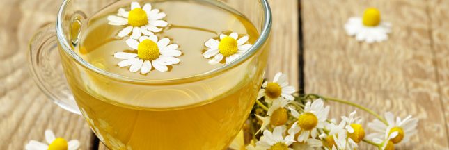 camomille