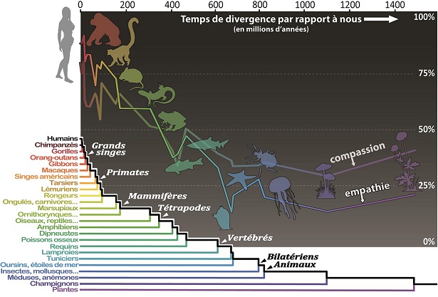 carte affective biodiversite