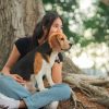 7 réflexes écologiques à adopter avec son chien 7 réflexes écologiques à adopter avec son chien