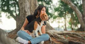 7 réflexes écologiques à adopter avec son chien