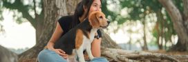 7 réflexes écologiques à adopter avec son chien 7 réflexes écologiques à adopter avec son chien