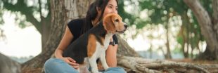 7 réflexes écologiques à adopter avec son chien
