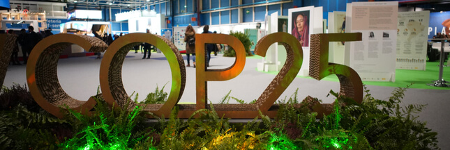 cop25 greenwashing