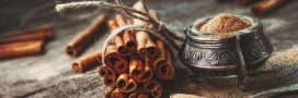 Tout sur la cannelle, l'épice qui vaut de l'or