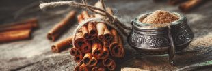 Tout sur la cannelle, l'épice qui vaut de l'or Tout sur la cannelle, l'épice qui vaut de l'or