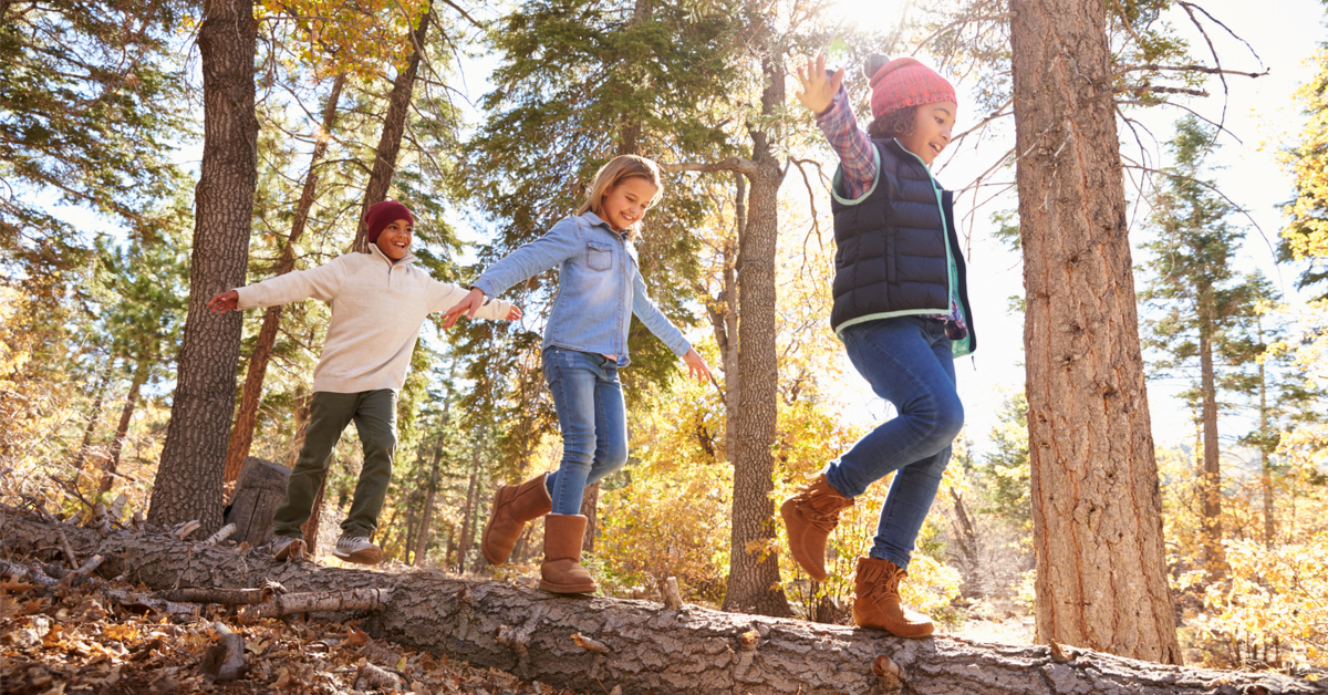 Pourquoi les enfants ont besoin d'aller explorer la nature ?