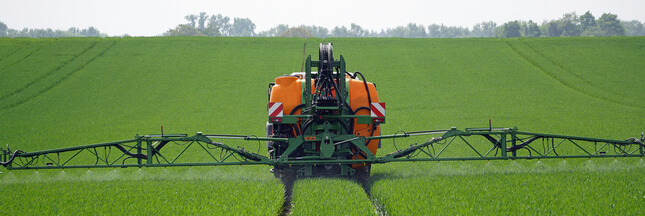 glyphosate