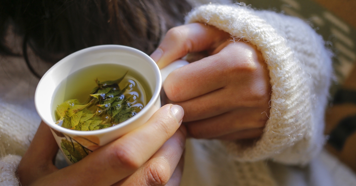 Phyto : 7 conseils pour préparer une tisane de qualité