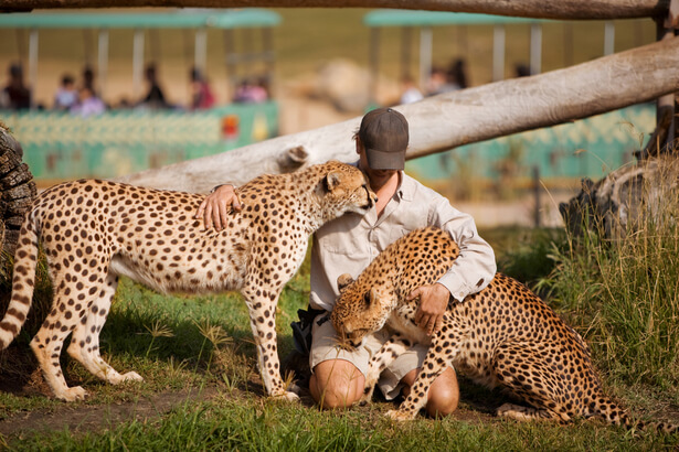 zoo sauver animaux