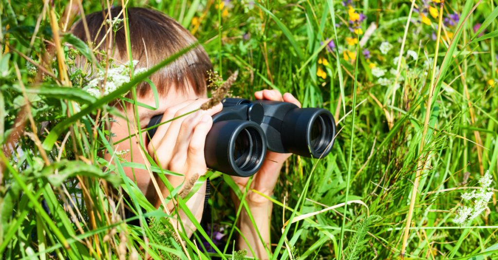 4 bienfaits avérés des sciences participatives