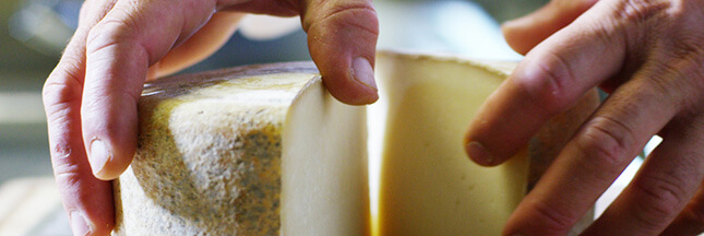 La conservation du fromage, tout un art !