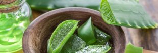 Pourquoi et comment faire une cure de jus d'aloe vera ?