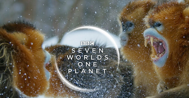 documentaire une planète deux mondes sauvages