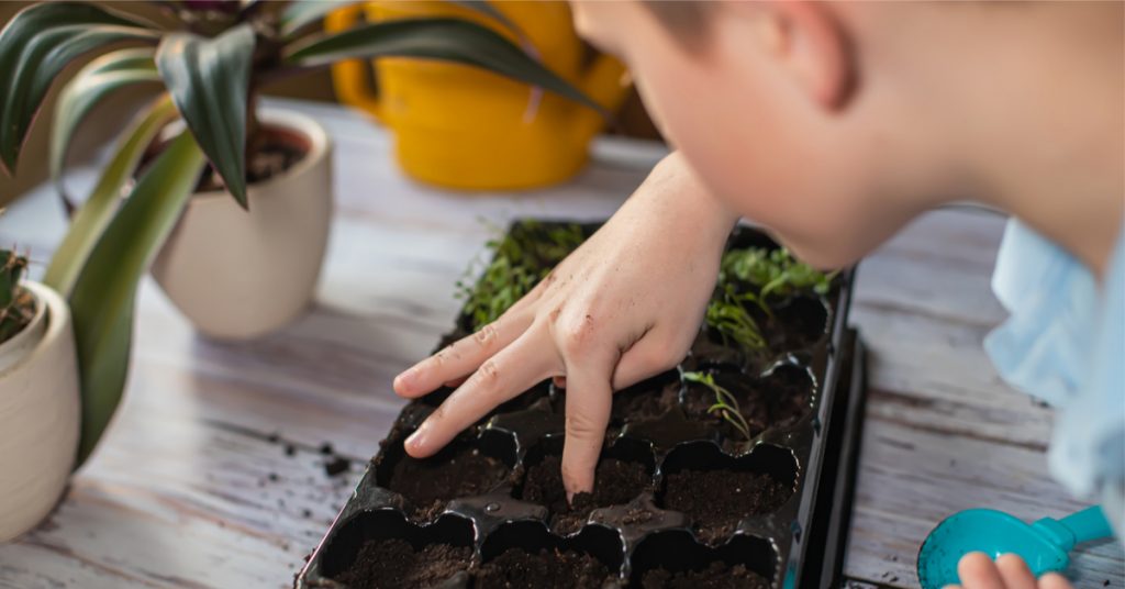 Que faire au jardin avec son enfant en hiver ?