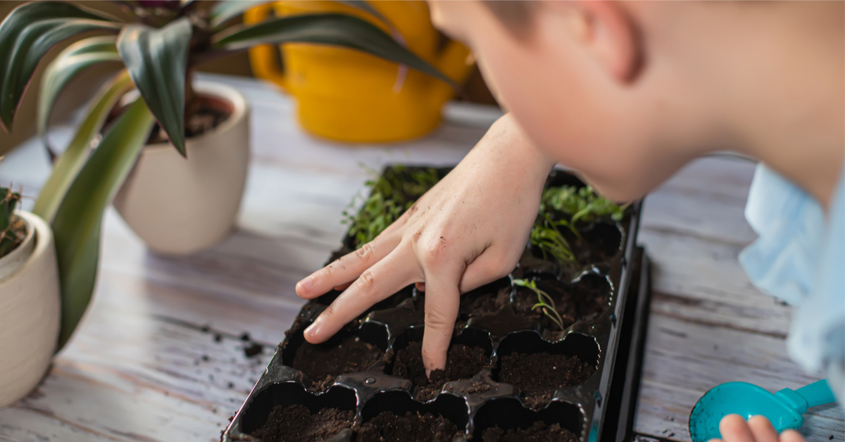 Que faire au jardin avec son enfant en hiver ? Que faire au jardin avec son enfant en hiver ?