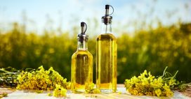 L’huile de colza, championne des oméga-3 L’huile de colza, championne des oméga-3