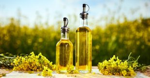 L'huile de colza, championne des oméga-3 L'huile de colza, championne des oméga-3