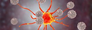 Vers un traitement universel du cancer ? Vers un traitement universel du cancer ?