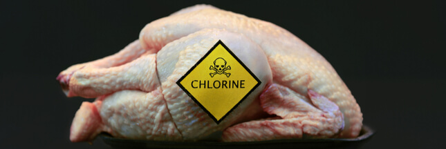 Bientôt du poulet américain au chlore dans vos assiettes ?