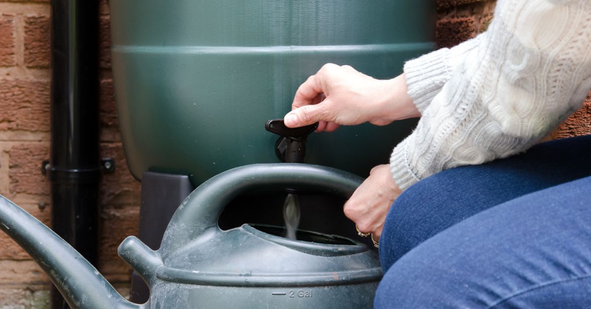 Utiliser l'eau de pluie à la maison et au jardin : avantages et astuces