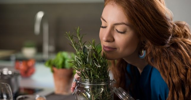 Découvrez tous les bienfaits du romarin Découvrez tous les bienfaits du romarin