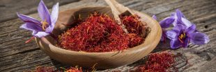 Vrai ou faux produits du terroir ? Le safran