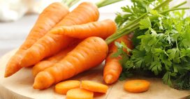 Les grands aliments : éloge de la carotte