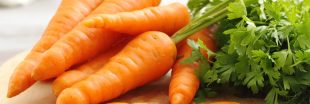 Les grands aliments : éloge de la carotte
