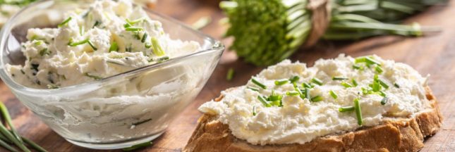 Le fromage végétal ou vromage