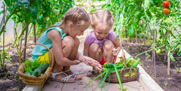 activité jardinage