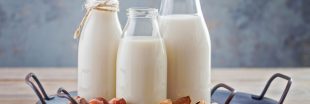 Les boissons végétales : des alternatives gourmandes aux laits animaux