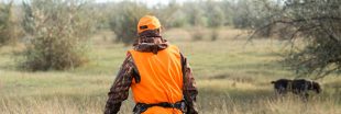 Vers l'ouverture de la chasse deux mois plus tôt ? Vers l'ouverture de la chasse deux mois plus tôt ?