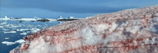 Le réchauffement climatique fait saigner la glace en Antarctique