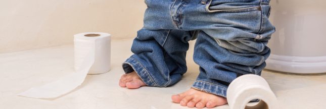 papier toilette lavable