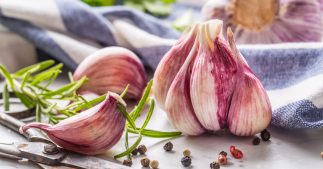 En février, plantez de l'ail rose dans votre jardin ! En février, plantez de l'ail rose dans votre jardin !