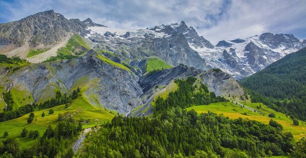 biodiversité ordinaire