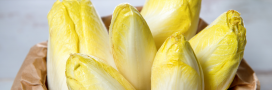 12 façons de cuisiner les endives pour ceux qui n'aiment pas