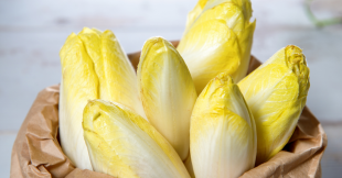 12 façons de cuisiner les endives pour ceux qui n'aiment pas