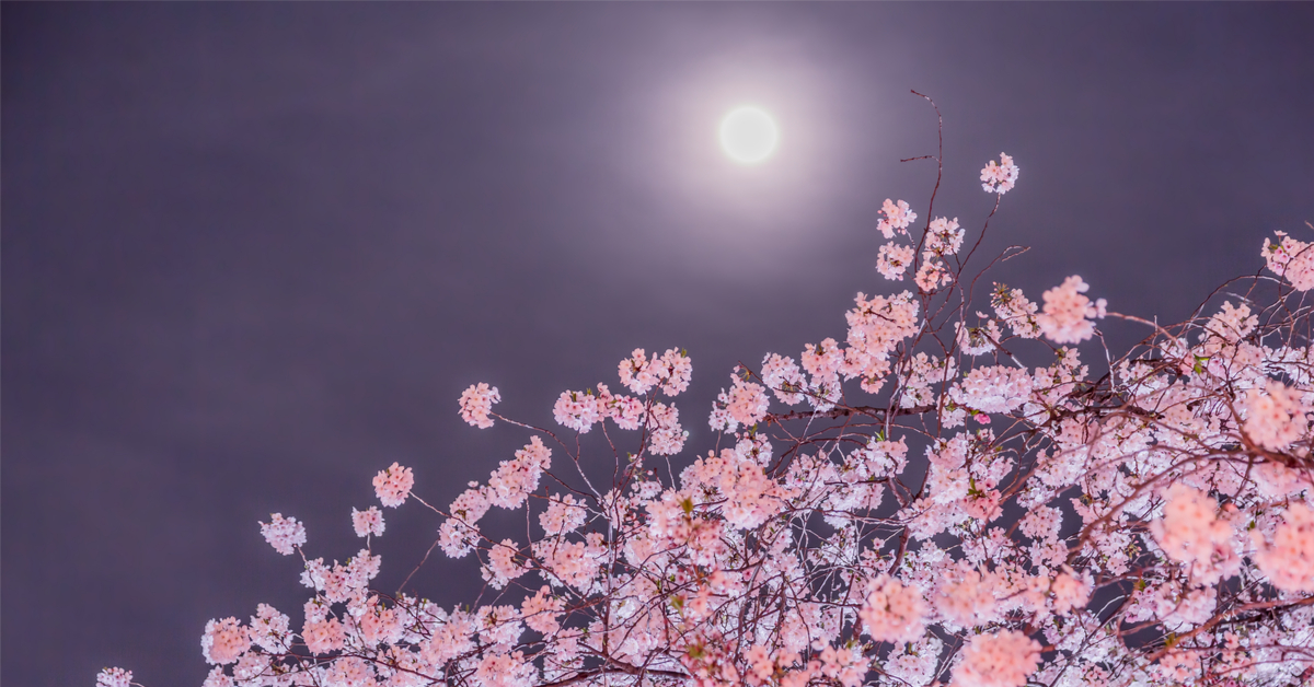 Que voir dans le ciel en avril 2022 ?