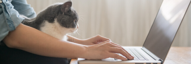 Télétravail : comment organiser un coin bureau à la maison ?