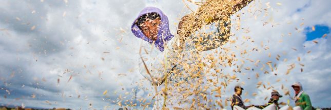 Noël 2025 – Allez-vous offrir des cadeaux d’occasion ? Noël 2025 – Allez-vous offrir des cadeaux d’occasion ?