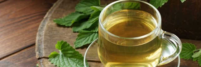 Les plantes pour digérer