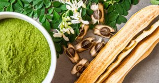 Les graines de Moringa pour purifier l'eau contaminée, vous connaissez ? Les graines de Moringa pour purifier l'eau contaminée, vous connaissez ?