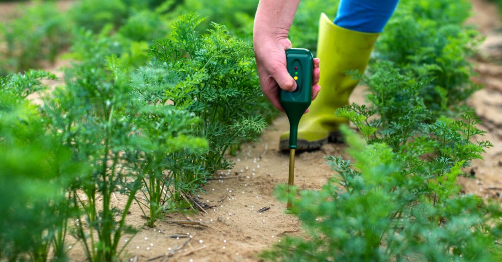 Jardinage pratique : 4 méthodes pour mesurer le pH du sol