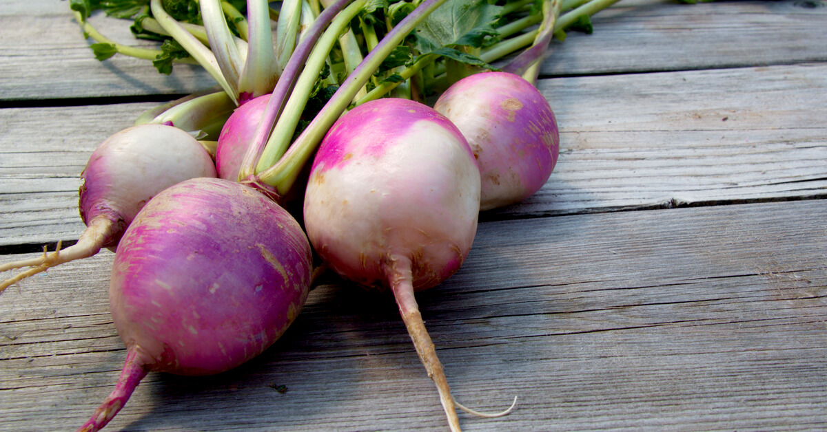 8 Fa ons De Cuisiner Les Navets Pour Ceux Qui N aiment Pas