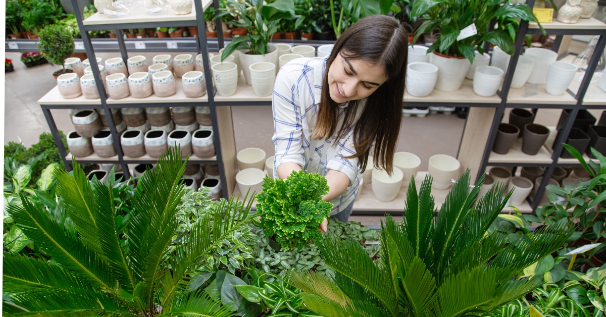 Comment bien choisir une plante en pot ? Comment bien choisir une plante en pot ?
