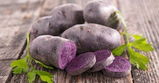 Les légumes oubliés : la pomme de terre vitelotte pour mettre de la couleur dans votre assiette Les légumes oubliés : la pomme de terre vitelotte pour mettre de la couleur dans votre assiette